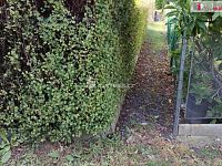 Zahrada s chatkou, Mariánské Lázně, Úšovice, Osada Bažantnice - 10