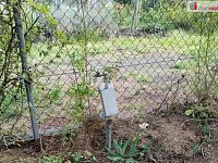 Zahrada s chatkou, Mariánské Lázně, Úšovice, Osada Bažantnice - 8