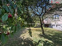 Prodej vícegeneračního rodinného domu o dispozici 5+1 v Dolních Kralovicích, okres Benešov - 3