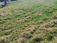 Prodej pozemku o rozloze 1263 m2 určeného k zastavění, Fojtovice u Heřmanova, okr. Děčín - 5