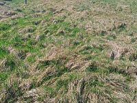 Prodej pozemku o rozloze 1263 m2 určeného k zastavění, Fojtovice u Heřmanova, okr. Děčín - 6