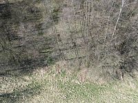 Prodej pozemku o rozloze 4280 m2 určeného k zastavění, Fojtovice u Heřmanova, okr. Děčín - 3