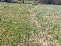 Prodej pozemku o rozloze 4280 m2 určeného k zastavění, Fojtovice u Heřmanova, okr. Děčín - 5