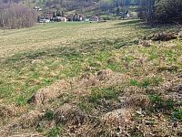 Prodej pozemku o rozloze 4280 m2 určeného k zastavění, Fojtovice u Heřmanova, okr. Děčín - 6