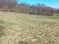 Prodej pozemku o rozloze 4280 m2 určeného k zastavění, Fojtovice u Heřmanova, okr. Děčín - 7