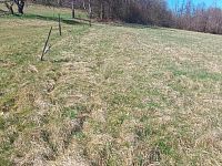 Prodej pozemku o rozloze 4280 m2 určeného k zastavění, Fojtovice u Heřmanova, okr. Děčín - 8