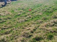 Prodej pozemku o rozloze 1146 m2 určeného k zastavění, Fojtovice u Heřmanova, okr. Děčín - 7