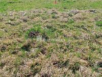 Prodej pozemku o rozloze 1246 m2 určeného k zastavění, Fojtovice u Heřmanova, okr. Děčín - 5