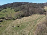 Prodej pozemku o rozloze 4050 m2 určeného k zastavění, Fojtovice u Heřmanova, okr. Děčín - 3