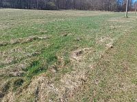 Prodej pozemku o rozloze 4050 m2 určeného k zastavění, Fojtovice u Heřmanova, okr. Děčín - 5