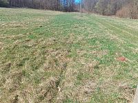 Prodej pozemku o rozloze 4050 m2 určeného k zastavění, Fojtovice u Heřmanova, okr. Děčín - 6