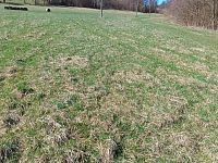 Prodej pozemku o rozloze 4050 m2 určeného k zastavění, Fojtovice u Heřmanova, okr. Děčín - 7