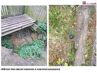 Prodej domu, pozemek 516 m2, Košátky  - 10