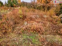 Zahrada 1025 m2, Dalovice - 5