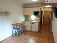 Pronájem bytu 1 + kk, 23m2, Všemina - 5