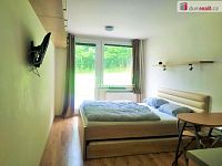 Pronájem bytu 1 + kk, 23m2, Všemina - 7