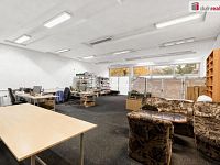 Prodej komerčního prostoru, 191 m2, SNP, Ústí nad Labem - 12