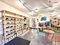 Pronájem multifunkční budovy na Vinohradech - 18