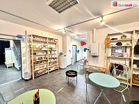 Pronájem multifunkční budovy na Vinohradech - 27