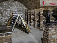 Bar nebo kavárna s vinným sklepem Pavlov u Dolních Věstonic - 10