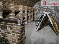 Bar nebo kavárna s vinným sklepem Pavlov u Dolních Věstonic - 9