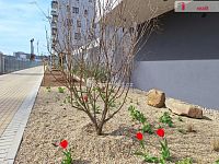 pronájem garážového stání P9 Vysočany Pod Harfou - 5