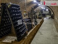 Bar nebo kavárna s vinným sklepem Pavlov u Dolních Věstonic - 12