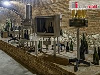 Bar nebo kavárna s vinným sklepem Pavlov u Dolních Věstonic - 13