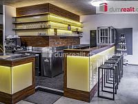 Bar nebo kavárna s vinným sklepem Pavlov u Dolních Věstonic - 5