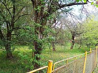 Stavební parcela 759 m2, Semčice - 6