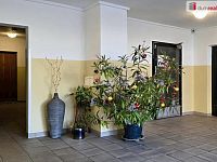 Prodej bytu 2+1/L (51,69m2) v Neratovicích, ul.Kojetická - 15