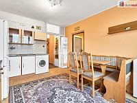 Prodej slunného bytu 1+1 v Rybářích v Karlových Varech  - 9