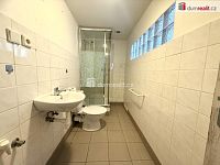 Pronájem prostorného bytu 1+1 v Děčíně v ulici Elišky Krásnohorské - 3
