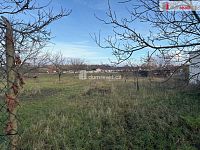 Rodinný dům se dvorem a zahradou Jevišovka - 3