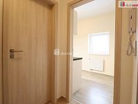Pronájem bytu 2+kk s balkonem v Nové Roli - 8