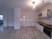 Pronájem bytu 2+1 Karlovy Vary-Doubí - 22