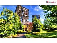 Skep, 3 m2, vysoké stropy, OV, novostavba 2009, Praha 3 - Žižkov - 5