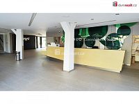 Skep, 3 m2, vysoké stropy, OV, novostavba 2009, Praha 3 - Žižkov - 6