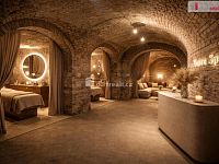 Pronájem komerčního prostoru, 200 m2 - vizualizace