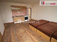 Prostorný rekonstruovaný byt 2+kk uprostřed krásné přírody v Mariánských Lázních - 7