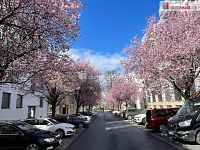 Pronájem, byt 1+kk, 37 m2, Zlín, Sadová - 7