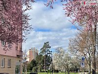 Pronájem, byt 1+kk, 37 m2, Zlín, Sadová - 8