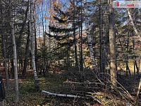 Pozemek pro výstavbu určenou k rekreaci - 12