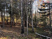 Pozemek pro výstavbu určenou k rekreaci - 13