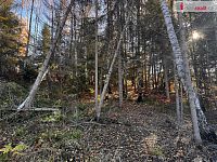Pozemek pro výstavbu určenou k rekreaci - 17