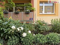 Pronájem útulného bytu 1+1 v Chlumci - 5