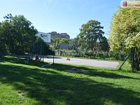 Pronájem 2kk 44m2 P3 Žižkov Na rovnosti po rekonstrukci - 12