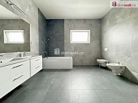 Pronájem RD v Nezabylicích u Choutova - 5