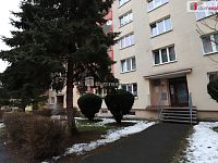 Pronájem pěkného bytu 1+1 ve druhé patře panelového domu v Sokolově - 6