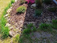 prodej krásné zahrady s možností výstavby objektu pro rodinnou rekreaci do 40 m2 plochy, obec Jílové u Děčína - 11